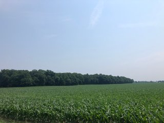 Property photo 35 - LAND AUCTION - 245 +/- ACRES OFFERED IN 6 TRACTS IN RANDOLPH COUNTY, INDIANA