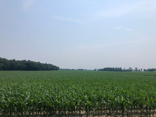 Property photo 34 - LAND AUCTION - 245 +/- ACRES OFFERED IN 6 TRACTS IN RANDOLPH COUNTY, INDIANA
