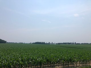 Property photo 33 - LAND AUCTION - 245 +/- ACRES OFFERED IN 6 TRACTS IN RANDOLPH COUNTY, INDIANA