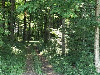 Property photo 32 - LAND AUCTION - 245 +/- ACRES OFFERED IN 6 TRACTS IN RANDOLPH COUNTY, INDIANA