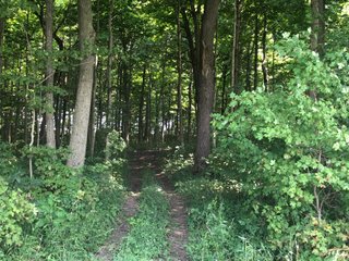 Property photo 31 - LAND AUCTION - 245 +/- ACRES OFFERED IN 6 TRACTS IN RANDOLPH COUNTY, INDIANA