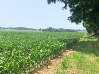 Property photo 30 - LAND AUCTION - 245 +/- ACRES OFFERED IN 6 TRACTS IN RANDOLPH COUNTY, INDIANA