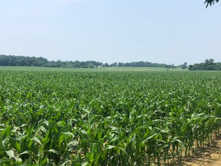 Property photo 29 - LAND AUCTION - 245 +/- ACRES OFFERED IN 6 TRACTS IN RANDOLPH COUNTY, INDIANA