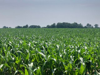 Property photo 28 - LAND AUCTION - 245 +/- ACRES OFFERED IN 6 TRACTS IN RANDOLPH COUNTY, INDIANA