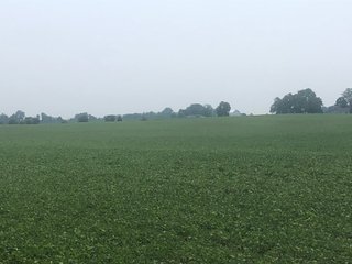 Property photo 40 - LAND AUCTION - 245 +/- ACRES OFFERED IN 6 TRACTS IN RANDOLPH COUNTY, INDIANA