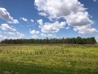 Property photo 41 - LAND AUCTION - 245 +/- ACRES OFFERED IN 6 TRACTS IN RANDOLPH COUNTY, INDIANA