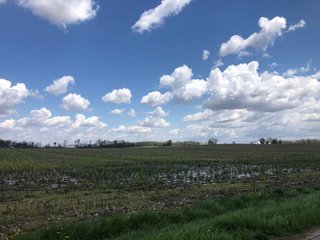 Property photo 36 - LAND AUCTION - 245 +/- ACRES OFFERED IN 6 TRACTS IN RANDOLPH COUNTY, INDIANA