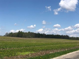 Property photo 50 - LAND AUCTION - 245 +/- ACRES OFFERED IN 6 TRACTS IN RANDOLPH COUNTY, INDIANA