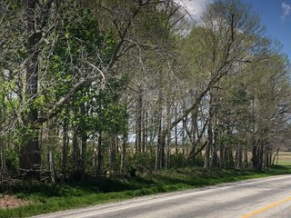 Property photo 49 - LAND AUCTION - 245 +/- ACRES OFFERED IN 6 TRACTS IN RANDOLPH COUNTY, INDIANA