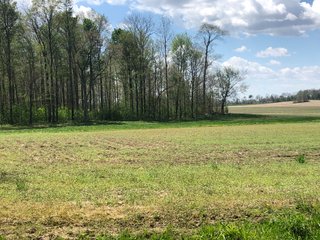 Property photo 47 - LAND AUCTION - 245 +/- ACRES OFFERED IN 6 TRACTS IN RANDOLPH COUNTY, INDIANA