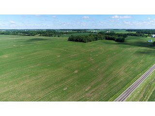 Property photo 14 - LAND AUCTION - 245 +/- ACRES OFFERED IN 6 TRACTS IN RANDOLPH COUNTY, INDIANA