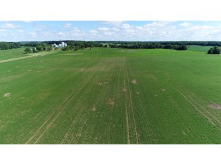Property photo 22 - LAND AUCTION - 245 +/- ACRES OFFERED IN 6 TRACTS IN RANDOLPH COUNTY, INDIANA