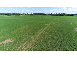 Property photo 23 - LAND AUCTION - 245 +/- ACRES OFFERED IN 6 TRACTS IN RANDOLPH COUNTY, INDIANA