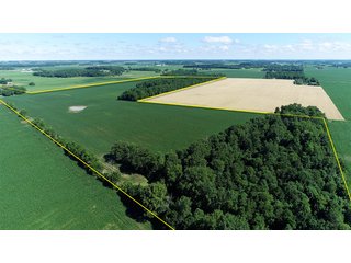 Property photo 1 - LAND AUCTION - 245 +/- ACRES OFFERED IN 6 TRACTS IN RANDOLPH COUNTY, INDIANA