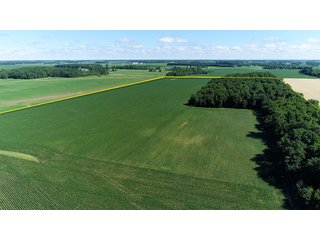 Property photo 3 - LAND AUCTION - 245 +/- ACRES OFFERED IN 6 TRACTS IN RANDOLPH COUNTY, INDIANA