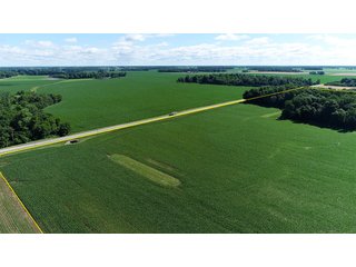Property photo 4 - LAND AUCTION - 245 +/- ACRES OFFERED IN 6 TRACTS IN RANDOLPH COUNTY, INDIANA