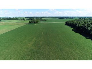 Property photo 6 - LAND AUCTION - 245 +/- ACRES OFFERED IN 6 TRACTS IN RANDOLPH COUNTY, INDIANA