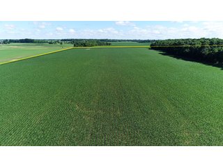 Property photo 7 - LAND AUCTION - 245 +/- ACRES OFFERED IN 6 TRACTS IN RANDOLPH COUNTY, INDIANA