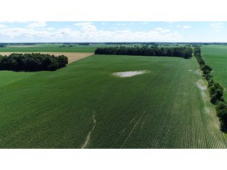 Property photo 8 - LAND AUCTION - 245 +/- ACRES OFFERED IN 6 TRACTS IN RANDOLPH COUNTY, INDIANA