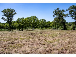 Property photo 20 - STILLWATER LAND AUCTION - 17.6+/- ACRES OFFERED IN 4 TRACTS IN PAYNE COUNTY, OKLAHOMA