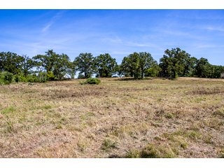 Property photo 21 - STILLWATER LAND AUCTION - 17.6+/- ACRES OFFERED IN 4 TRACTS IN PAYNE COUNTY, OKLAHOMA