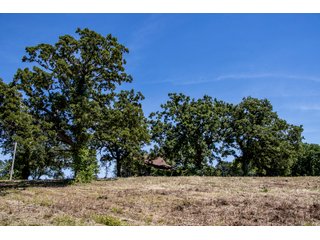 Property photo 29 - STILLWATER LAND AUCTION - 17.6+/- ACRES OFFERED IN 4 TRACTS IN PAYNE COUNTY, OKLAHOMA
