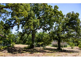 Property photo 30 - STILLWATER LAND AUCTION - 17.6+/- ACRES OFFERED IN 4 TRACTS IN PAYNE COUNTY, OKLAHOMA