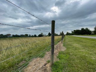 Property photo 33 - ABSOLUTE LAND AUCTION - 674+/- ACRES OFFERED IN 22 TRACTS IN HART COUNTY, KENTUCKY