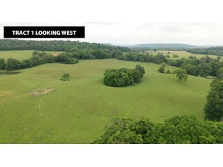 TRACT 1 LOOKING WEST - ABSOLUTE LAND AUCTION - 674+/- ACRES OFFERED IN 22 TRACTS IN HART COUNTY, KENTUCKY
