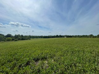 Property photo 57 - ABSOLUTE LAND AUCTION - 674+/- ACRES OFFERED IN 22 TRACTS IN HART COUNTY, KENTUCKY