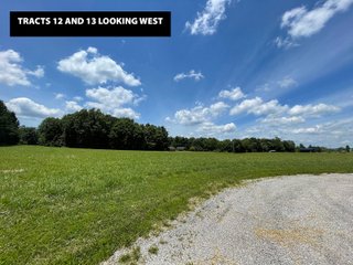 TRACTS 12 & 13 LOOKING WEST - ABSOLUTE LAND AUCTION - 674+/- ACRES OFFERED IN 22 TRACTS IN HART COUNTY, KENTUCKY