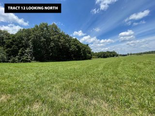 TRACT 12 LOOKING NORTH - ABSOLUTE LAND AUCTION - 674+/- ACRES OFFERED IN 22 TRACTS IN HART COUNTY, KENTUCKY