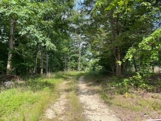 Property photo 69 - ABSOLUTE LAND AUCTION - 674+/- ACRES OFFERED IN 22 TRACTS IN HART COUNTY, KENTUCKY