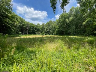 Property photo 70 - ABSOLUTE LAND AUCTION - 674+/- ACRES OFFERED IN 22 TRACTS IN HART COUNTY, KENTUCKY