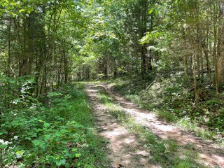 Property photo 67 - ABSOLUTE LAND AUCTION - 674+/- ACRES OFFERED IN 22 TRACTS IN HART COUNTY, KENTUCKY