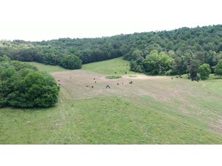 Property photo 72 - ABSOLUTE LAND AUCTION - 674+/- ACRES OFFERED IN 22 TRACTS IN HART COUNTY, KENTUCKY