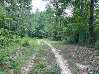 Property photo 76 - ABSOLUTE LAND AUCTION - 674+/- ACRES OFFERED IN 22 TRACTS IN HART COUNTY, KENTUCKY