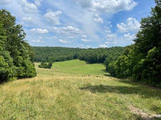 Property photo 75 - ABSOLUTE LAND AUCTION - 674+/- ACRES OFFERED IN 22 TRACTS IN HART COUNTY, KENTUCKY