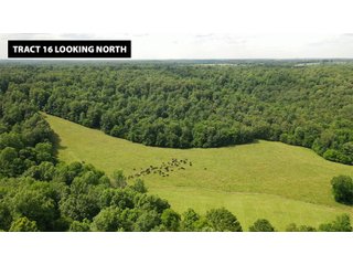 TRACT 16 LOOKING NORTH - ABSOLUTE LAND AUCTION - 674+/- ACRES OFFERED IN 22 TRACTS IN HART COUNTY, KENTUCKY