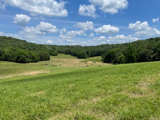Property photo 74 - ABSOLUTE LAND AUCTION - 674+/- ACRES OFFERED IN 22 TRACTS IN HART COUNTY, KENTUCKY
