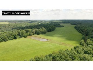 TRACT 17 LOOKING EAST - ABSOLUTE LAND AUCTION - 674+/- ACRES OFFERED IN 22 TRACTS IN HART COUNTY, KENTUCKY