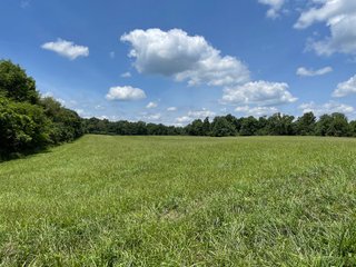 Property photo 79 - ABSOLUTE LAND AUCTION - 674+/- ACRES OFFERED IN 22 TRACTS IN HART COUNTY, KENTUCKY