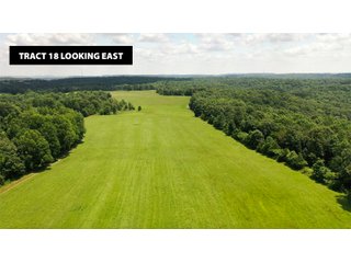 TRACT 18 LOOKING EAST - ABSOLUTE LAND AUCTION - 674+/- ACRES OFFERED IN 22 TRACTS IN HART COUNTY, KENTUCKY