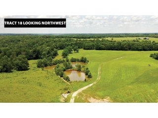 TRACT 18 LOOKING NORTHWEST - ABSOLUTE LAND AUCTION - 674+/- ACRES OFFERED IN 22 TRACTS IN HART COUNTY, KENTUCKY