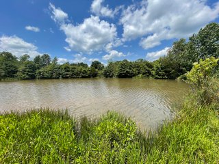 Property photo 81 - ABSOLUTE LAND AUCTION - 674+/- ACRES OFFERED IN 22 TRACTS IN HART COUNTY, KENTUCKY