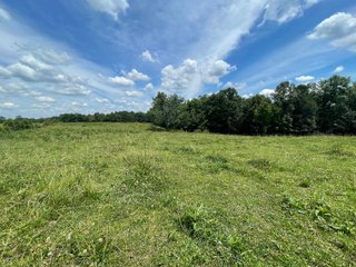 Property photo 83 - ABSOLUTE LAND AUCTION - 674+/- ACRES OFFERED IN 22 TRACTS IN HART COUNTY, KENTUCKY