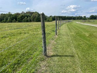 Property photo 53 - ABSOLUTE LAND AUCTION - 674+/- ACRES OFFERED IN 22 TRACTS IN HART COUNTY, KENTUCKY