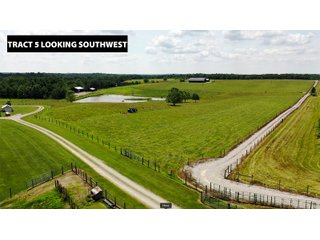 TRACT 5 LOOKING SOUTHWEST - ABSOLUTE LAND AUCTION - 674+/- ACRES OFFERED IN 22 TRACTS IN HART COUNTY, KENTUCKY
