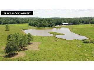 TRACT 5 LOOKING WEST - ABSOLUTE LAND AUCTION - 674+/- ACRES OFFERED IN 22 TRACTS IN HART COUNTY, KENTUCKY