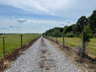 Property photo 52 - ABSOLUTE LAND AUCTION - 674+/- ACRES OFFERED IN 22 TRACTS IN HART COUNTY, KENTUCKY